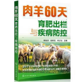 肉羊60天育肥出栏与疾病防控