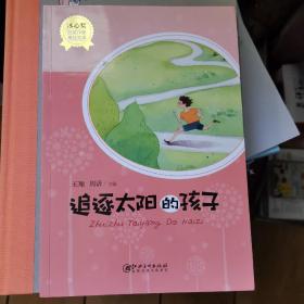 冰心奖获奖作家精品文库·追逐太阳的孩子