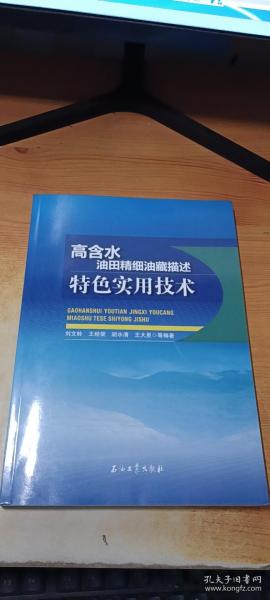 高含水油田精细油藏描述特色实用技术