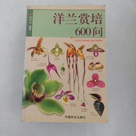 洋兰赏培600问