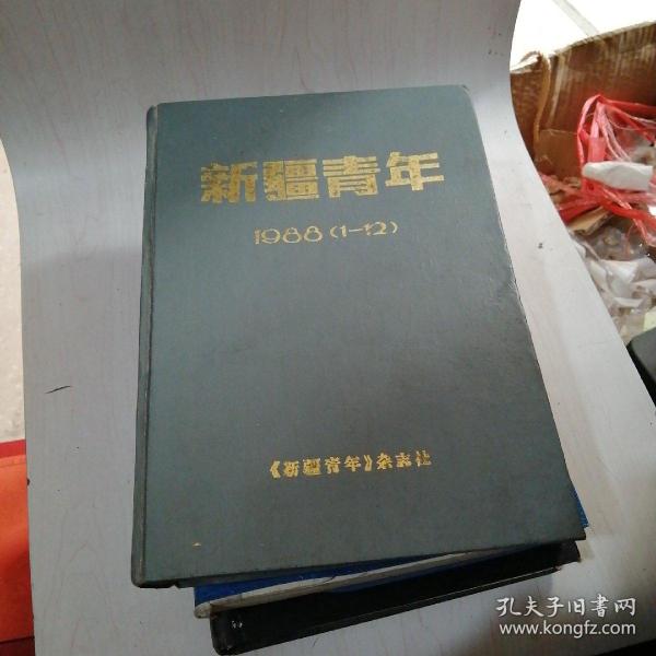 新疆青年1988年1--12期【18层】