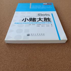 小赌大胜: 卓越的公司如何实现突破性的创新与变革