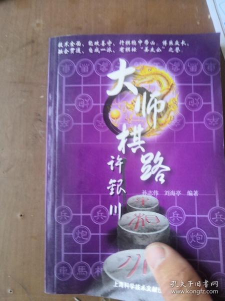 大师棋路：许银川