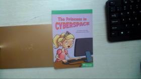 The Princess in Cyberspace