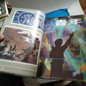 新疆青年1988年1--12期【18层】