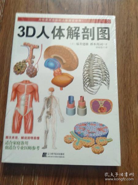 3D人体解剖图