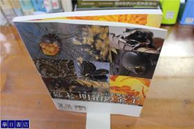 幕末明治的金工  绿青  マリア书房  16开  118页  2011年  特价包邮