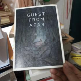 GUEST FROM AFAR--客从远方来 王亚彬 （2015年AYE画廊展览作品集）