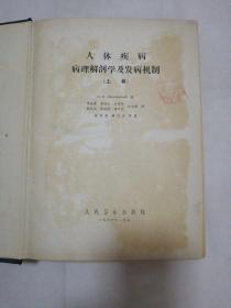 人体疾病病理解剖学及发病机制【上册】