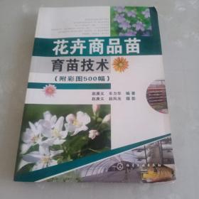 花卉商品苗育苗技术