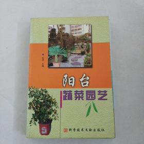 阳台蔬菜园艺