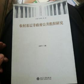 农村基层非政府公共组织研究