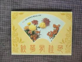 明信片：秋菊多佳景（套装10张全）广西人民出版社出版