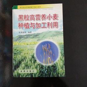 黑粒高营养小麦种植与加工利用——黑色食品作物种植与加工丛书