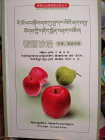 看图诊治苹果、梨病虫害 : 藏汉对照