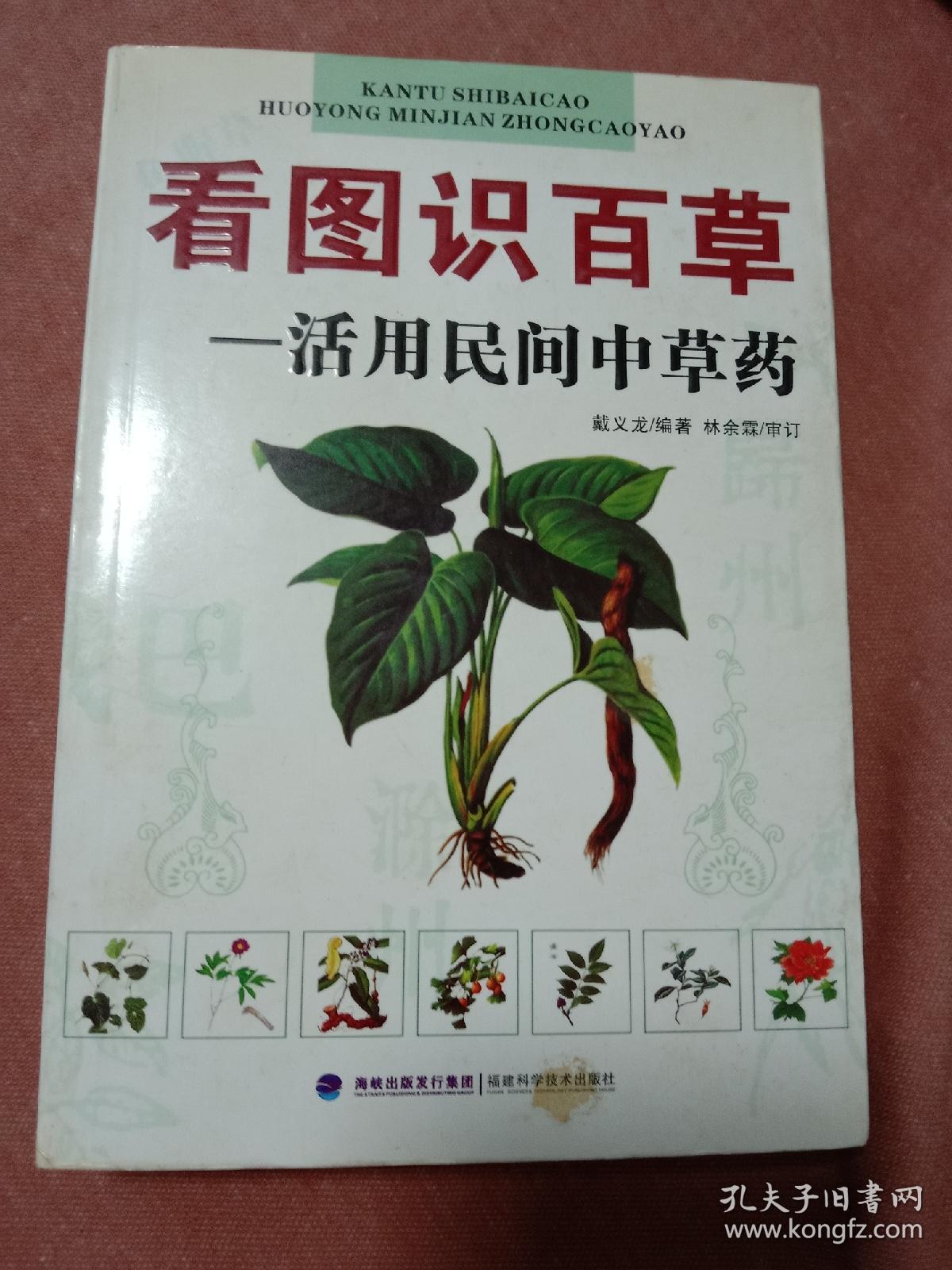 看图识百草：活用民间中草药