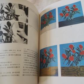 新技法シリ一ズ23：油絵の制作花のタブロー，日文版