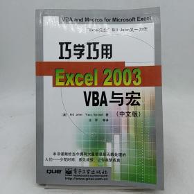 巧学巧用Excel 2003 VBA与宏（中文版）。