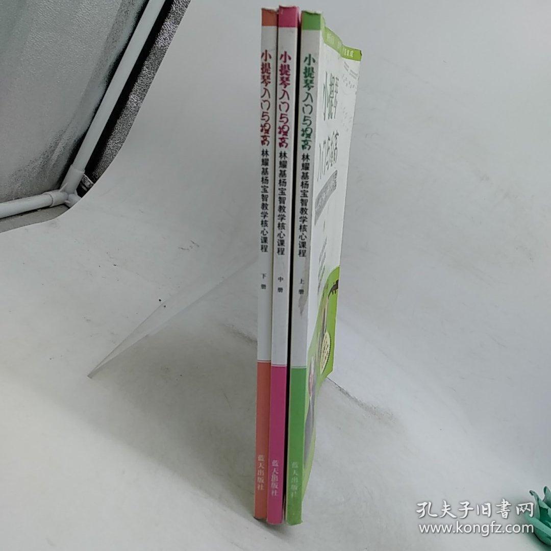 小提琴入门与提高：林耀基杨宝智教学核心课程（上中下）