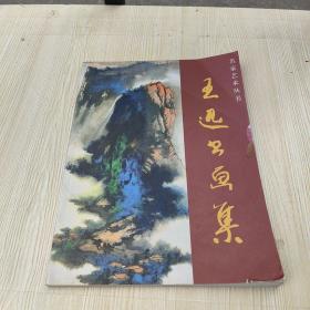 王迅书画集