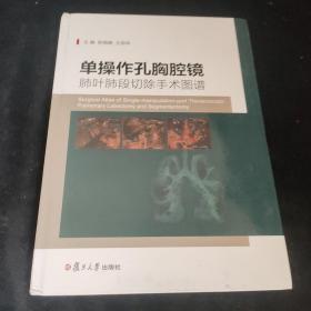 单操作孔胸腔镜肺叶肺段切除手术图谱