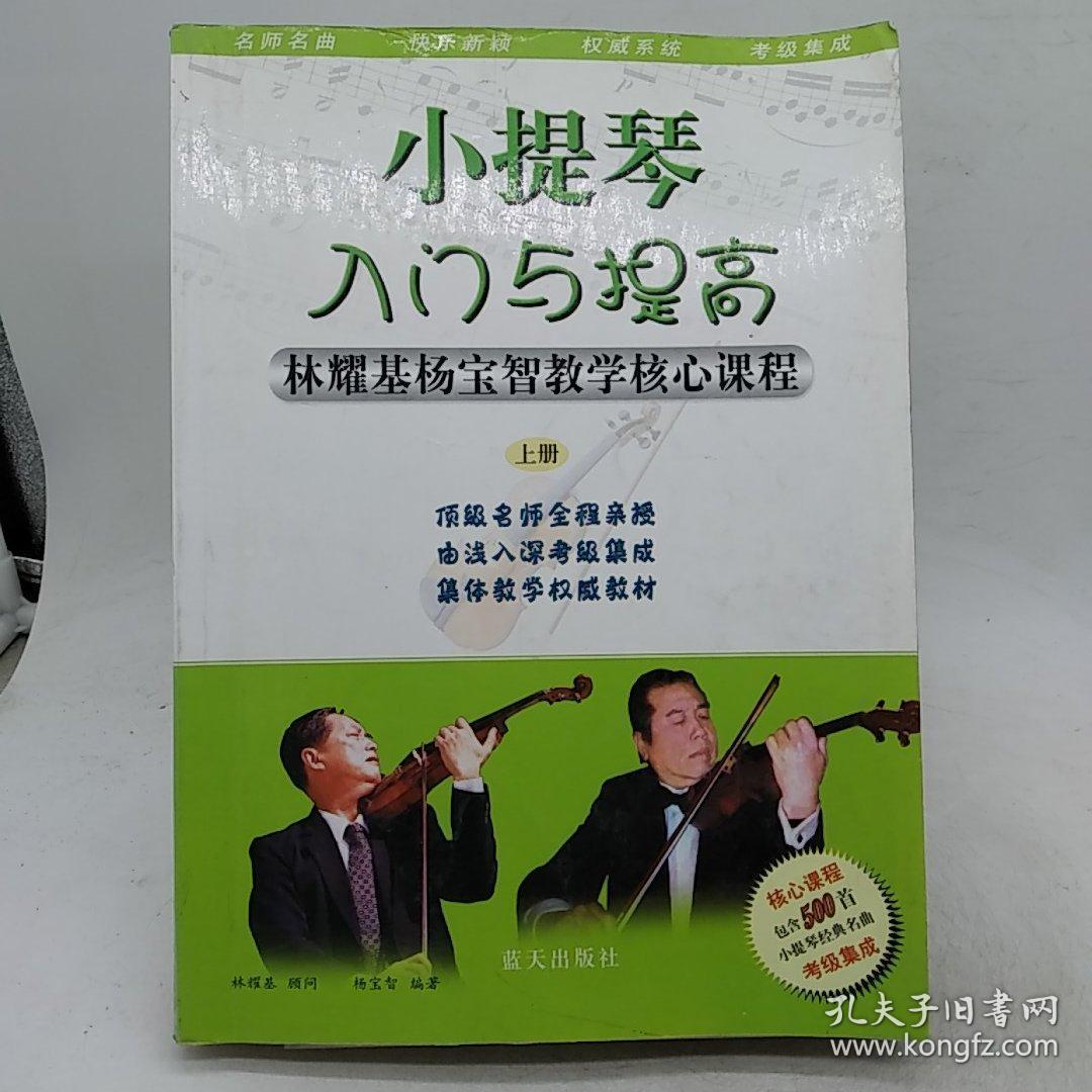 小提琴入门与提高：林耀基杨宝智教学核心课程（上中下）