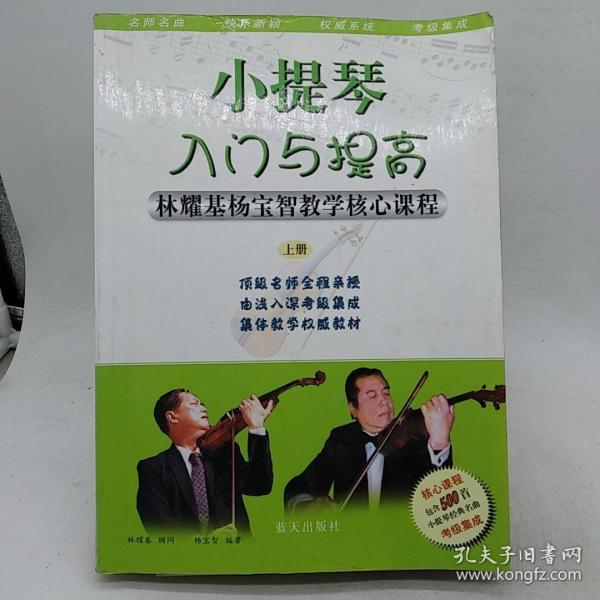 小提琴入门与提高：林耀基杨宝智教学核心课程（上中下）