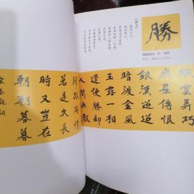 二十一世纪中国著名书法家系列《岭南瀚墨--李远东书法作品集.2009》软精装版