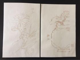 80年代木版水印老信笺，戴伯和花卉，细致精美，净皮宣纸，两图共两页