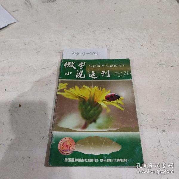 微型小说选刊