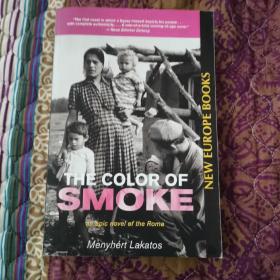 The Color of Smoke  An Epic Novel of the Roma