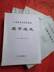 望子成龙——八集戏剧电视连续剧、早期油印本、老剧本、附六集戏剧电视连续剧版本、分镜头剧本、一共四册和售