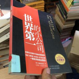 世界第一的小公司：世界500强学不到的经营智慧！马云 潘石屹 史玉柱 松下幸之助 一致追求的商业理念！