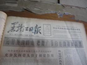 黑龙江日报1963年3月17日