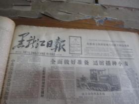 黑龙江日报1963年3月21日