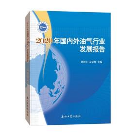 2020年国内外油气行业发展报告