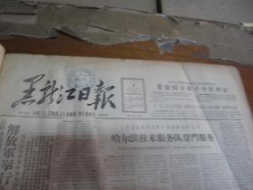 黑龙江日报1963年3月6日