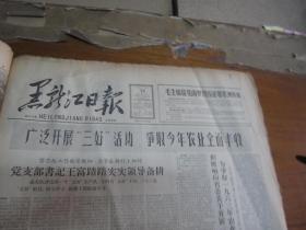 黑龙江日报1963年3月19日