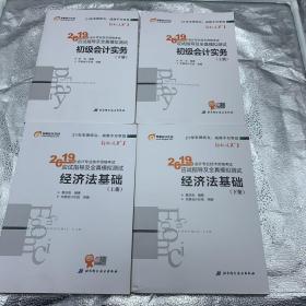 全新4本套装2019年东奥会计在线初级会计实务上下册+经济法基础上下册轻松过关1