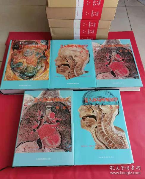 日文原版  图说人体局所解剖学-第一卷 头部+第二卷 头部+第三卷 胸部 1 2（全两册）+第四卷 腹部 （总计5本合售）8开精装 铜版纸彩印