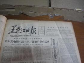 黑龙江日报1963年3月13日