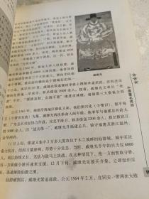 将帅传略：铁马金戈的战争舞者