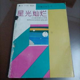 百家论坛丛书：星光灿烂——企业新星报告文学集