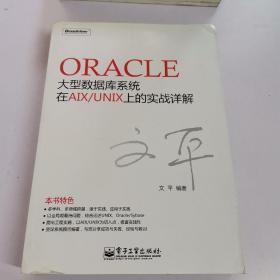 Oracle大型数据库系统在AIX/UNIX上的实战详解