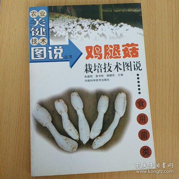 鸡腿菇栽培技术图说——农业关键技术图说丛书·食用菌类