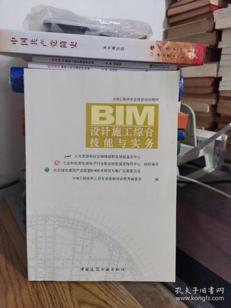 BIM设计施工综合技能与实务