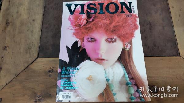 VISION青年视觉 2008.11