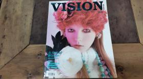 VISION青年视觉 2008.11
