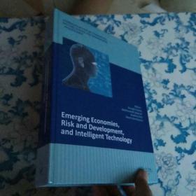 Emerging Economies,Risk and Development,and lntelligent Technology   外文看图