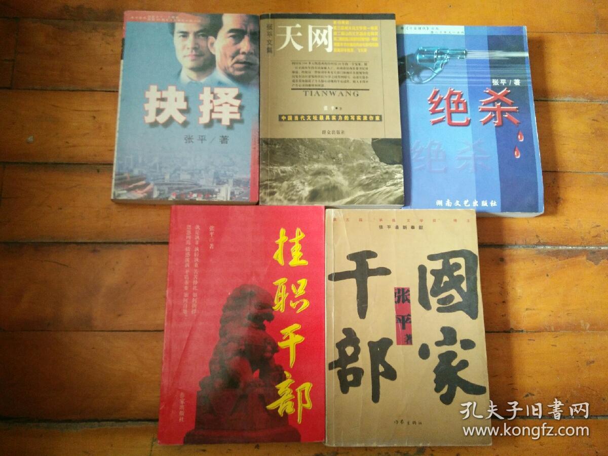 抉择/天网/绝杀/挂职干部/国家干部五本合售 张平